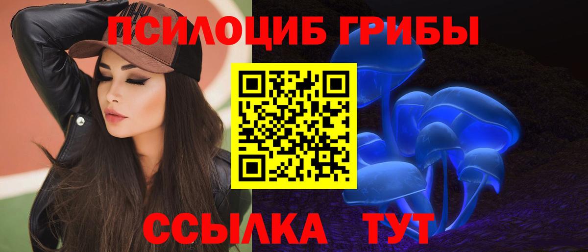 Красноуфимск  Галлюциногенные грибы мицелий  Вход с VPN  Псилоцибиновые грибы Psilocybine cubensis 